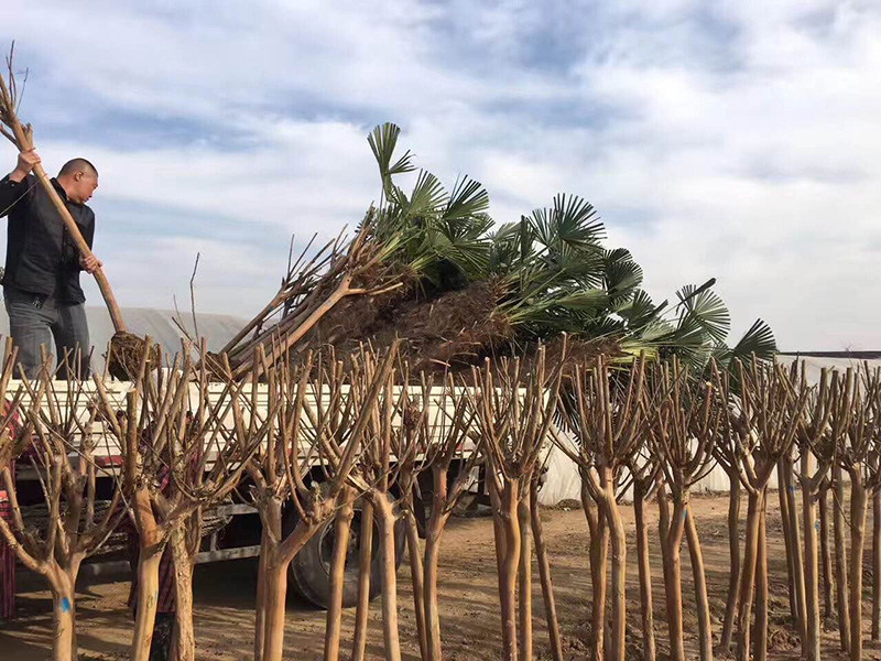 1532746194341419 1532746194341419