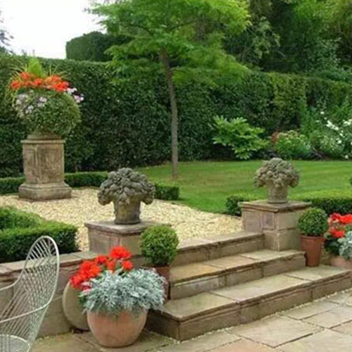 4綠化苗木種植批發