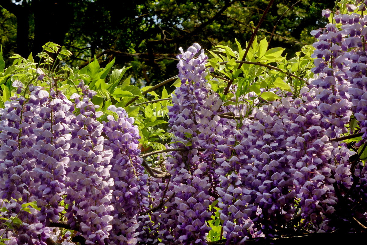 1532741570597289 1532741570597289